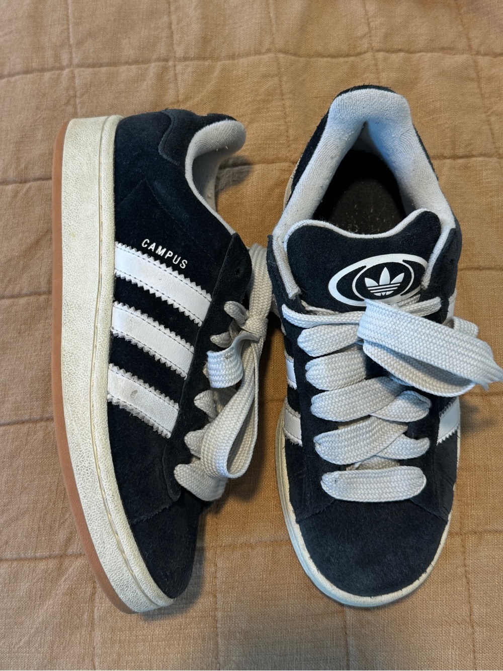 Adidas campus sneakers